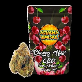 Cherry Haze CBD > Iguana Smoke